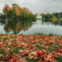 Про Питер :: Владимир Колесников