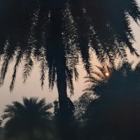 Перевернутый мир :: liudmila drake Перевернутый мир :: liudmila drake