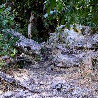 Железновдск. Селитряные скалы 4 :: Павленко Михаил 