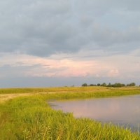 Вечер в августе. :: Сергей Рожков