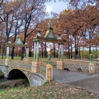 Китайский мостик :: Сапсан 