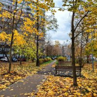 100%-ый октябрь в городе :: Андрей Лукьянов