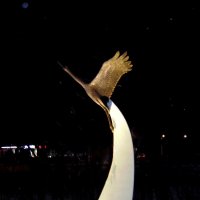 Они не в землю полегли когда-то,а превратились в белых лебедей.. :: nadyasilyuk Вознюк