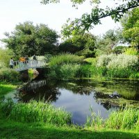 Усадьба Ореховно :: Лидия Бусурина Усадьба Ореховно :: Лидия Бусурина