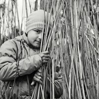 В зарослях :: СЮ 