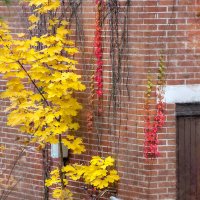 Отслужил... :: Bosanat 