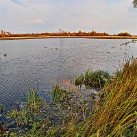 Осень...Просторы  Сырого Агана! :: Владимир 