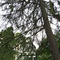 ПРИМОРСКИЙ СКВЕР :: Tata Wolf