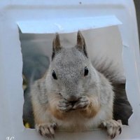 Снимаю пробу,того чем угостили. :: Любовь Сахарова