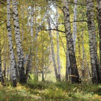 как грустно, лето закончилось быстро :: Ольга Гомзина как грустно, лето закончилось быстро :: Ольга Гомзина