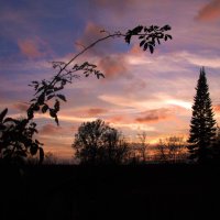 Октябрьский вечер :: Людмила Смородинская