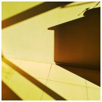 мобильная фотография :: Лана Пипякина