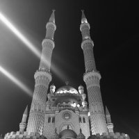 ЧБ Египет :: Роман Савоцкий