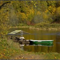 *** :: Aleksandr Gal