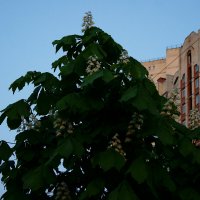 Современный Питер... Однажды майским вечером... 4 :: Игорь Тельцов