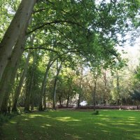 Природа :: Michael M