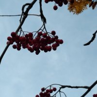 Осень.. :: Натали 