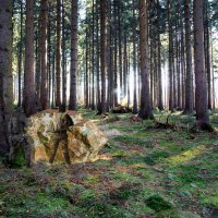 Спец операций :: Свечение Язычество