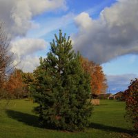 Октябрь нам  шлёт приветы.. :: Татьян@ Ивановна