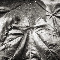 Фотография :: Денис Безногов