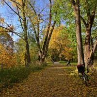 Осень - больше сезон души, нежели природы.  Фридрих Ницше :: Галина 