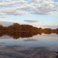 Небо октября с утками и отражением в озере :: Galina Solovova