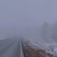 Туманный день. :: сергей ермошкин Туманный день. :: сергей ермошкин