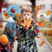 Гербарий :: Лилия . Гербарий :: Лилия .