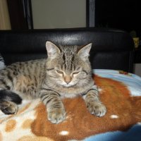 МУРЗИК :: СЕРГЕЙ ФИЛОЧКИН