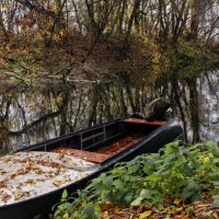 Лодка в листве :: sorovey Sol