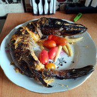 Фаршированная щука. :: Ирина *** Фаршированная щука. :: Ирина ***