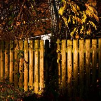 Осень 21 :: Алексей Кузнецов