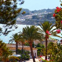 Тёплые воспоминания :: yav 110455