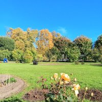 Осень :: Сапсан 