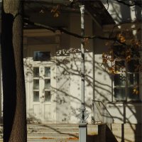 осень - у дома :: sv.kaschuk осень - у дома :: sv.kaschuk