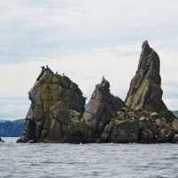 Кекуры Амурского залива :: Лидия Бусурина