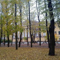 В осеннем парке. :: Светлана Калмыкова Калмыкова