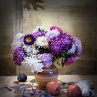 Астры. :: Bosanat Астры. :: Bosanat