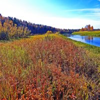 Протока Девкина...Дыхание сентября! :: Владимир 