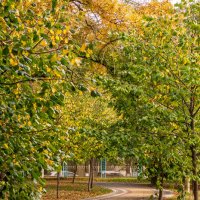 Середина осени :: Игорь Сикорский