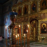 *** :: Евгения Каравашкина