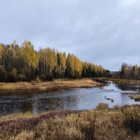 Осенне настроение. :: Ольга 