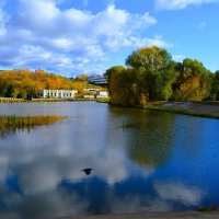 Чебоксары. Чебоксарский пруд-отстойник. :: Пётр Чернега Чебоксары. Чебоксарский пруд-отстойник. :: Пётр Чернега