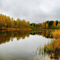 Золотая осень Смоленщины (репортаж из поездок по области). :: Милешкин Владимир Алексеевич 