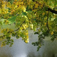 Городские зарисовки :: Рита Симонова