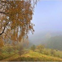 Осенний этюд. :: Валерия Комова