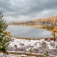 **** :: Алексей Мезенцев **** :: Алексей Мезенцев