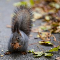 ...... :: Evgeny Mameev