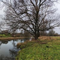 Река Серая :: Денис Бочкарёв