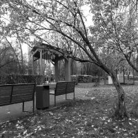 ***** :: юрий поляков